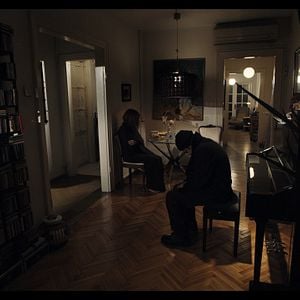 Fotoğraf Solgun Ağaçlar Altında