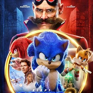 Fotoğraf Kirpi Sonic 2