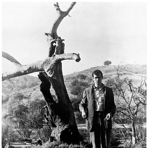 Fotoğraf Anthony Perkins