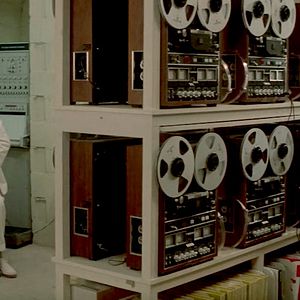 Fotoğraf Yunusların Günü