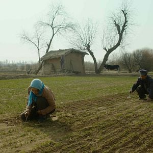 Fotoğraf Yin Ru Chen Yan
