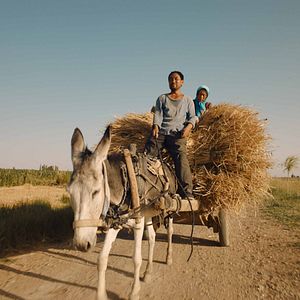Fotoğraf Yin Ru Chen Yan