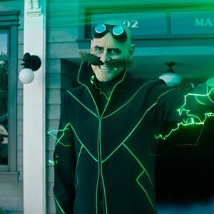 Fotoğraf Kirpi Sonic 2