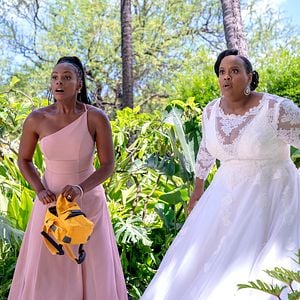 Fotoğraf Kirpi Sonic 2