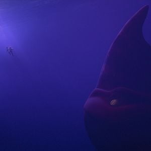 Fotoğraf Deniz Canavarı