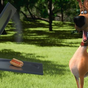 Fotoğraf Marmaduke