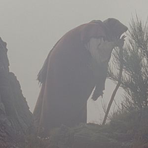 Fotoğraf Elsa Wolliaston