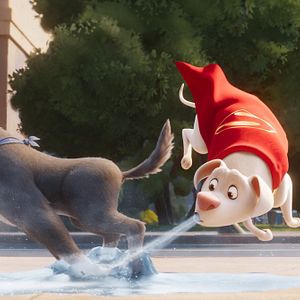 Fotoğraf DC Süper Evciller Takımı