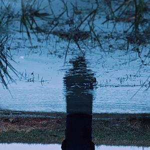 Fotoğraf Po Sui Tai Yang Zhi Xin