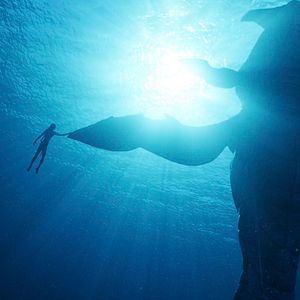 Fotoğraf Avatar: Suyun Yolu