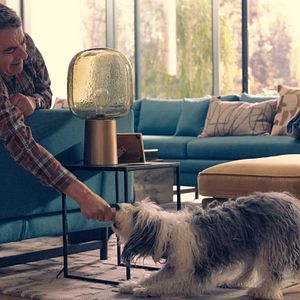 Fotoğraf Man vs Bee