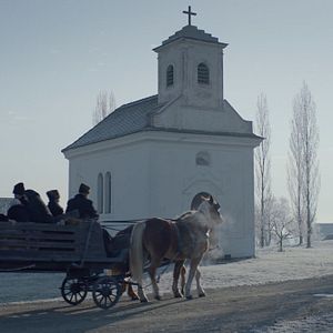 Fotoğraf Post Mortem