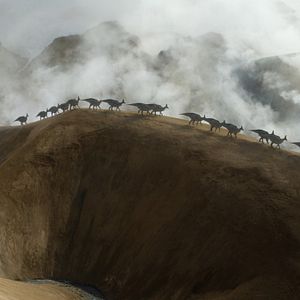 Fotoğraf Prehistoric Planet