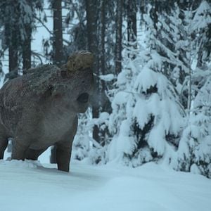 Fotoğraf Prehistoric Planet