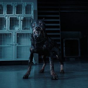 Fotoğraf Resident Evil - The Series