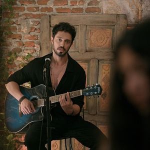 Fotoğraf Zeytin Ağacı