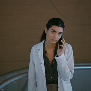 Fotoğraf Zeytin Ağacı