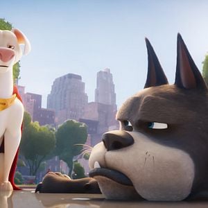 Fotoğraf DC Süper Evciller Takımı