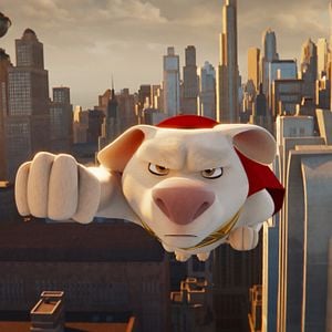 Fotoğraf DC Süper Evciller Takımı