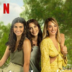 Fotoğraf Zeytin Ağacı