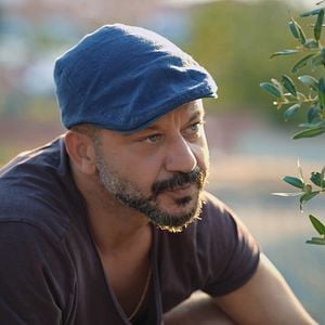 Fotoğraf Zeytin Ağacı