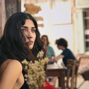 Fotoğraf Zeytin Ağacı