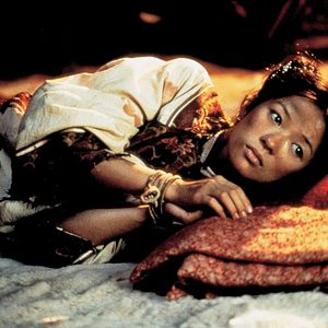 Fotoğraf Kaplan ve Ejderha