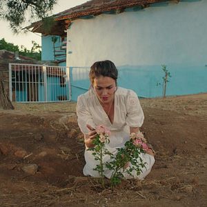 Fotoğraf Gül Masalı