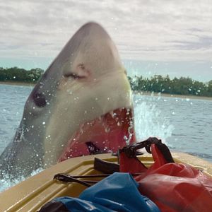 Fotoğraf Resif: Kanlı Takip