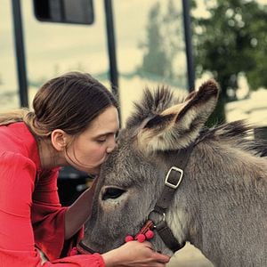 Fotoğraf Sandra Drzymalska
