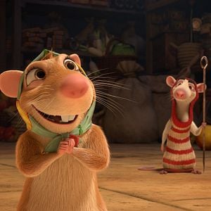 Fotoğraf Muhteşem Kedi Maurice