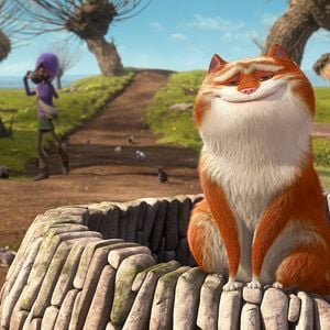 Fotoğraf Muhteşem Kedi Maurice