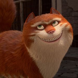 Fotoğraf Muhteşem Kedi Maurice