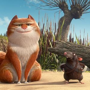 Fotoğraf Muhteşem Kedi Maurice