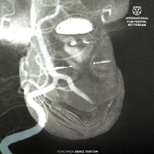 Fotoğraf Maddenin Halleri