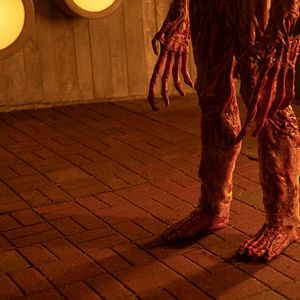 Fotoğraf Guillermo del Toro's Cabinet of Curiosities