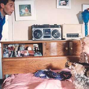 Fotoğraf Herkes Kendi Kedisini Arar