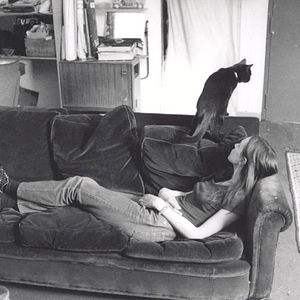 Fotoğraf Herkes Kendi Kedisini Arar