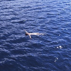 Fotoğraf Plus que jamais