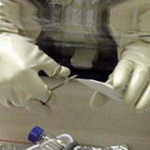 Fotoğraf Ölümcül Mektuplar: ABD'de Şarbon Tehdidi