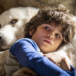 Fotoğraf Belle ve Sebastian: Cesur Dostum