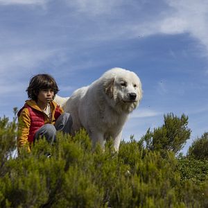 Fotoğraf Robinson Mensah-Rouanet