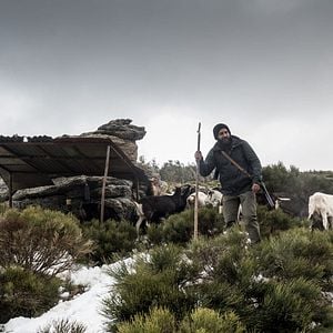 Fotoğraf Jesús Carroza