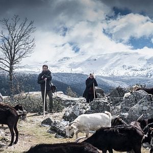 Fotoğraf Jesús Carroza