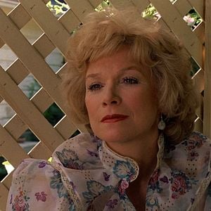 Fotoğraf Sevgi Sözcükleri