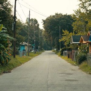 Fotoğraf Descendant