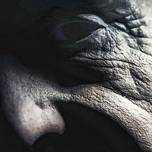 Fotoğraf Yaşlılar