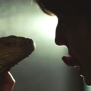 Fotoğraf Iguana Tokyo