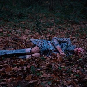 Fotoğraf Iguana Tokyo