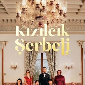 Fotoğraf Kızılcık Şerbeti